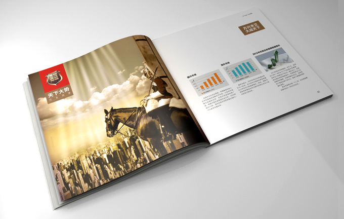 炊具行業(yè)企業(yè)畫冊設(shè)計(jì)/愛菲爾